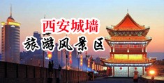 黄色网站骚中国陕西-西安城墙旅游风景区